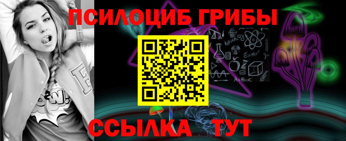 Псилоцибиновые грибы GOLDEN TEACHER  магазин    Янаул  Псилоцибиновые грибы Psilocybine cubensis  Вход с VPN 